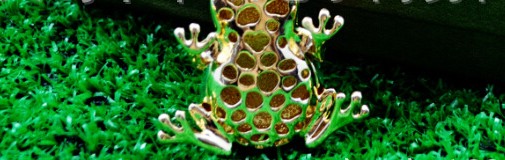 Lovely Frog Keychain